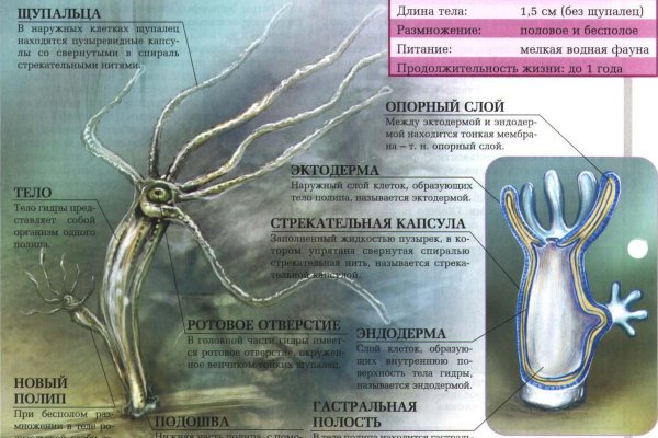 Кракен маркет что это